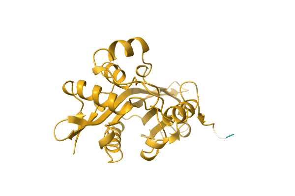 AF-A0A3B8Y108-F1 image