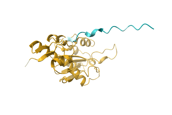 AF-A0A3B9U6Y2-F1 image