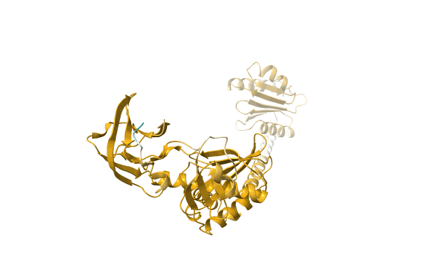 AF-A0A3C0H6F4-F1 image