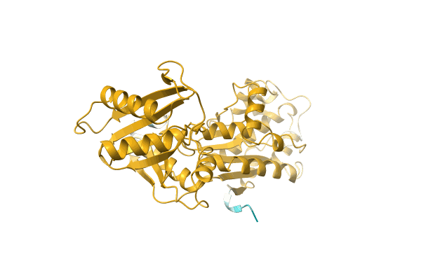 AF-A0A3C0H6H9-F1 image