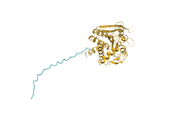 AF-A0A3C8C9T4-F1 image