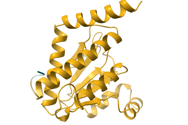 AF-A0A3D0VIA5-F1 image