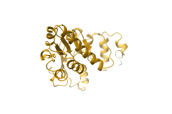 AF-A0A3D1FVT0-F1 image