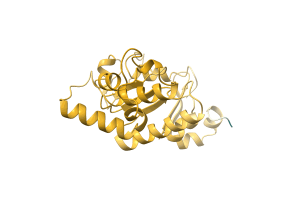 AF-A0A3D1FVT1-F1 image