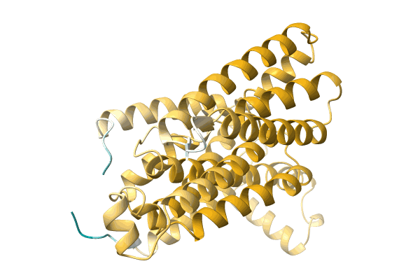 AF-A0A3D1FWH8-F1 image