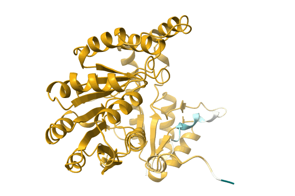 AF-A0A3D1L979-F1 image