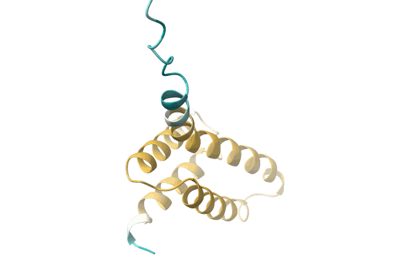 AF-A0A3D1L9D3-F1 image