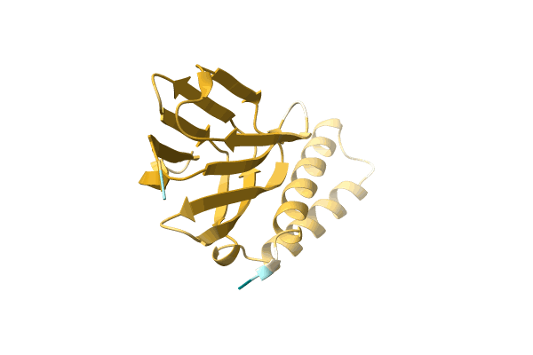 AF-A0A3D1L9G5-F1 image