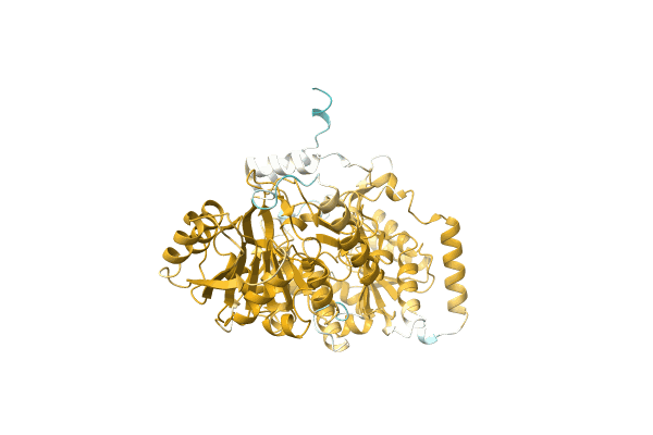 AF-A0A3D1LYM8-F1 image