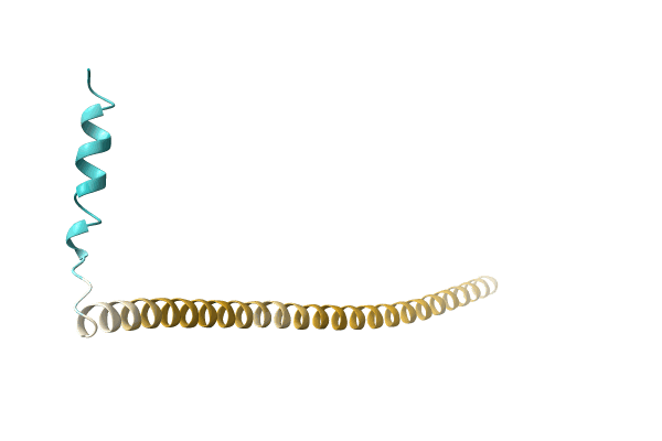 AF-A0A3D2KWR4-F1 image