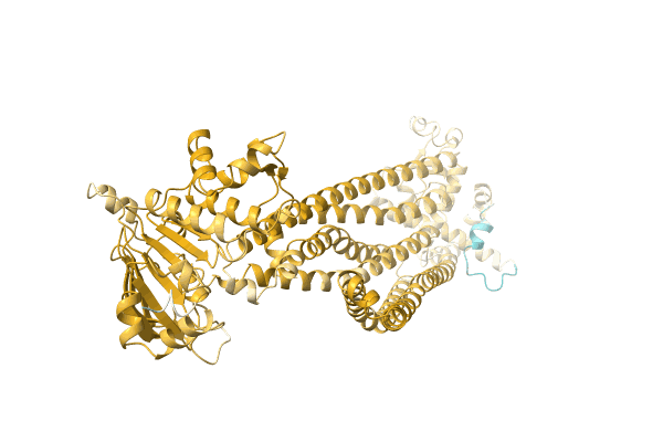 AF-A0A3D2X5R8-F1 image