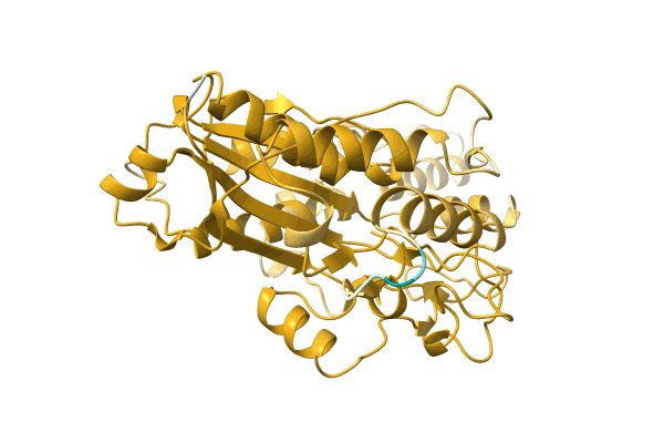 AF-A0A3D3JFQ7-F1 image