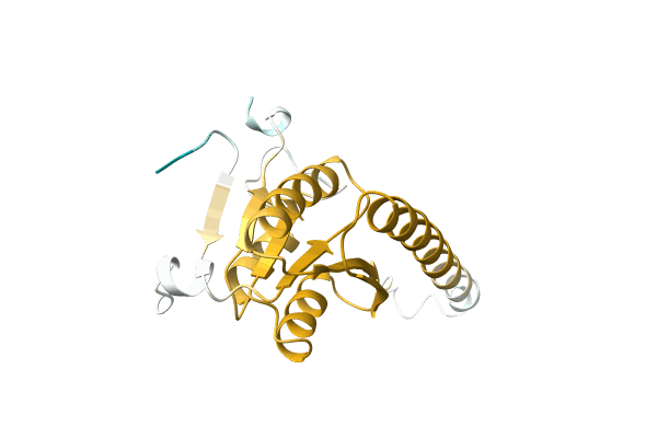 AF-A0A3D3JFQ9-F1 image