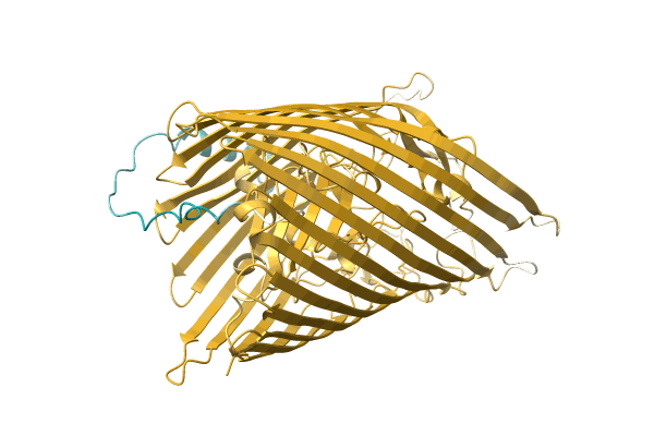 AF-A0A3D3WL54-F1 image