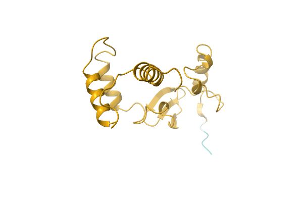 AF-A0A3D5G3D1-F1 image