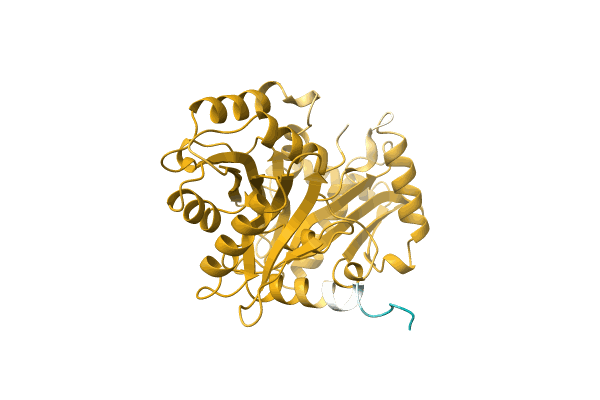 AF-A0A3D9J2L8-F1 image