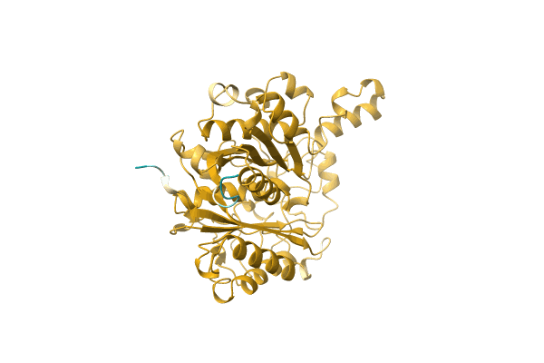 AF-A0A3D9J9T2-F1 image