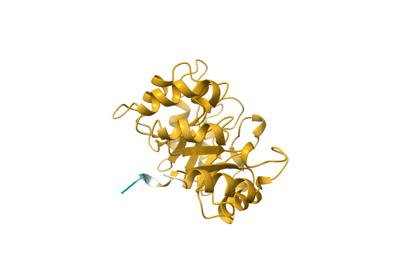 AF-A0A3D9J9W8-F1 image