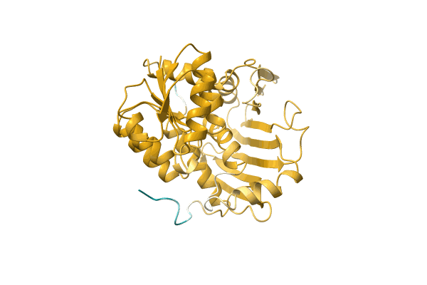 AF-A0A3D9KHX6-F1 image