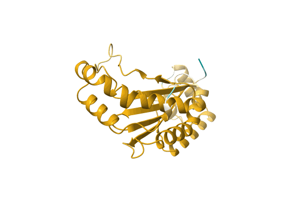 AF-A0A3E0D7L7-F1 image