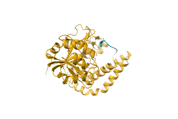 AF-A0A3E4W637-F1 image