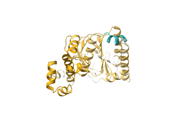 AF-A0A3E4W640-F1 image