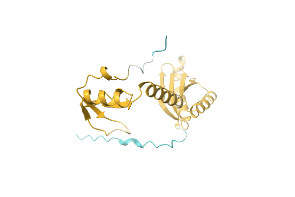 AF-A0A3E4Z9G5-F1 image