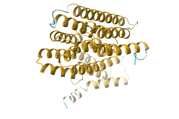 AF-A0A3G1CVR8-F1 image