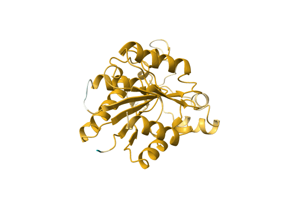 AF-A0A3G1DJF7-F1 image