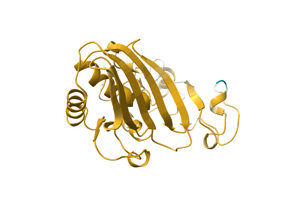 AF-A0A3G1E8H4-F1 image