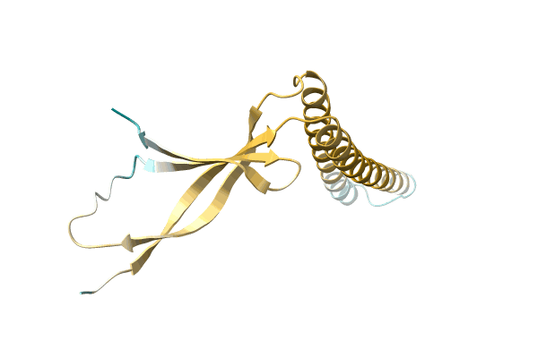 AF-A0A3G1IVA3-F1 image