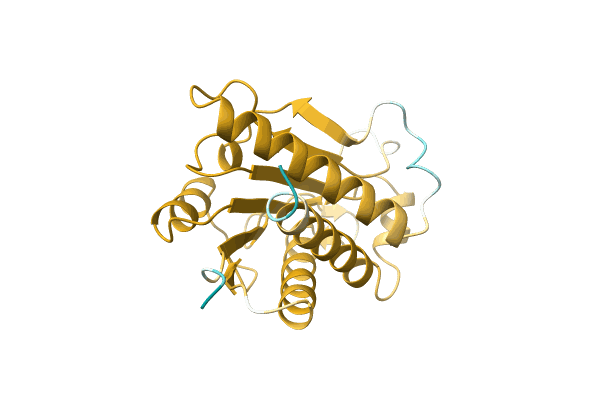 AF-A0A3G1IVD1-F1 image