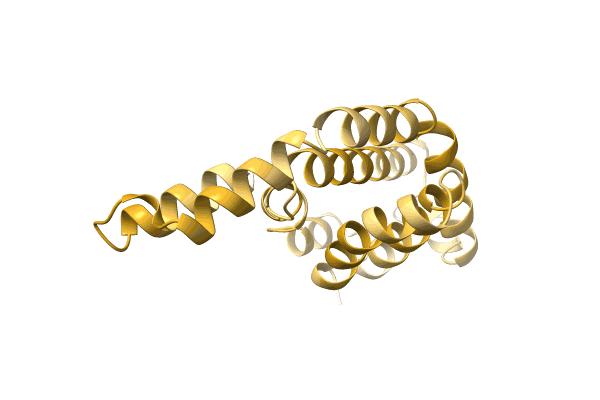 AF-A0A3G1IVD4-F1 image