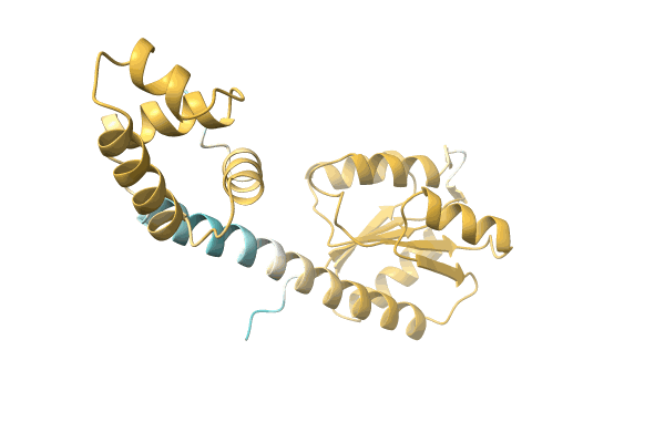 AF-A0A3G1IVE1-F1 image