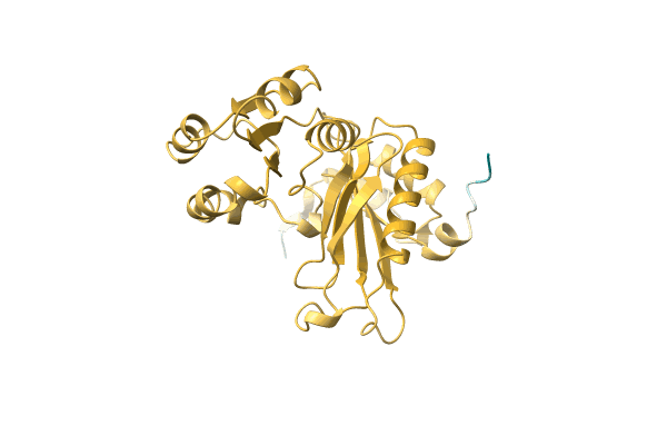 AF-A0A3G1IVG1-F1 image