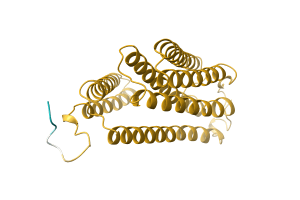 AF-A0A3G1KDI5-F1 image