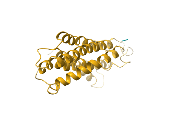 AF-A0A3G1XCE5-F1 image