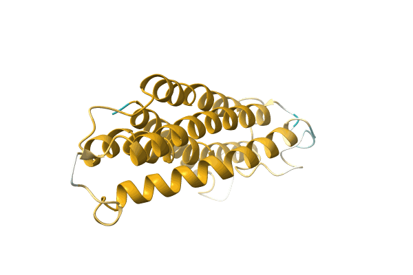 AF-A0A3G1XCN1-F1 image