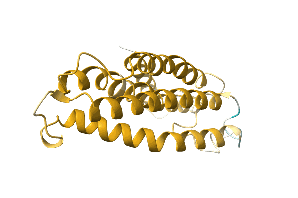 AF-A0A3G1XF64-F1 image