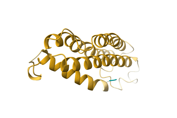 AF-A0A3G1XGU0-F1 image