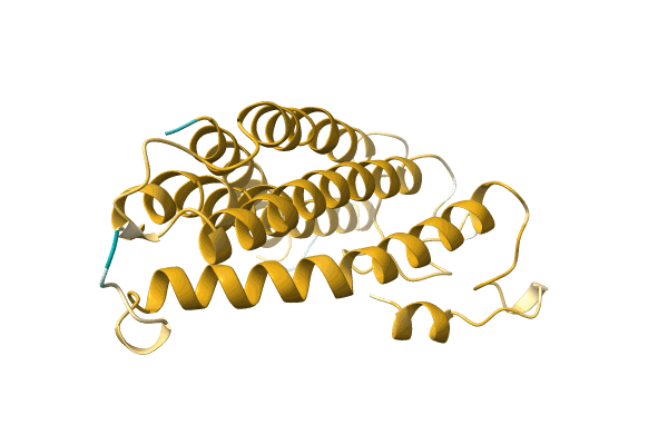 AF-A0A3G1XHR6-F1 image