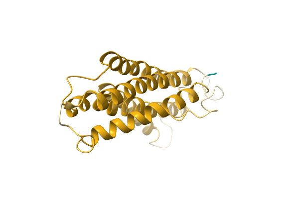 AF-A0A3G1XKD5-F1 image