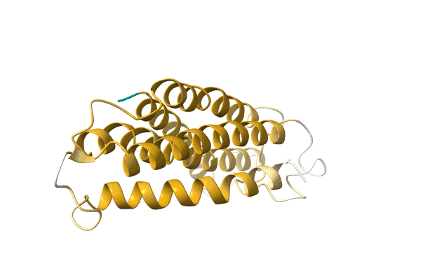 AF-A0A3G1XKQ8-F1 image