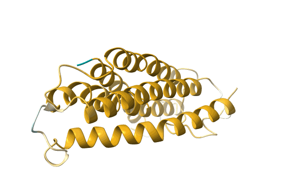 AF-A0A3G1XLK2-F1 image