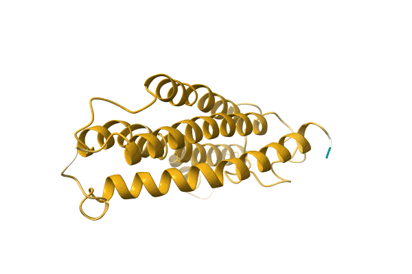 AF-A0A3G1XNW4-F1 image