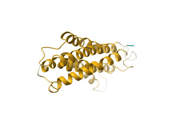 AF-A0A3G1XP79-F1 image