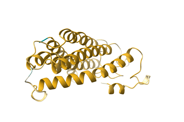 AF-A0A3G1XTK3-F1 image