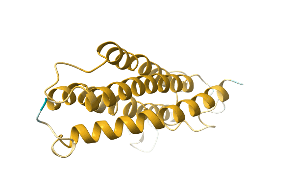 AF-A0A3G1XTQ4-F1 image