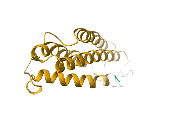 AF-A0A3G1XWP6-F1 image