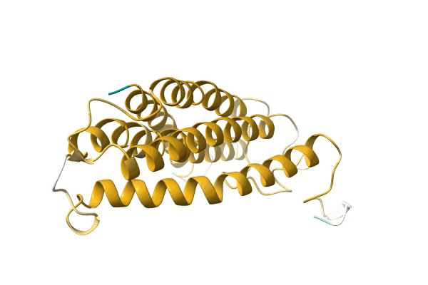 AF-A0A3G1XX73-F1 image